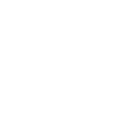Academy Xi logo