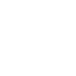 Brandfolder logo