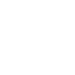 Brinqa logo