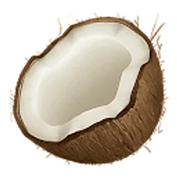 Coconote logo