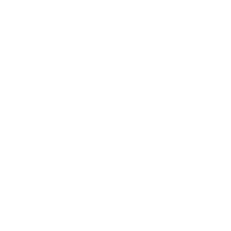 CodeGen logo