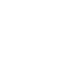 Ferret logo