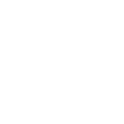 Genies logo