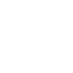 Ludwig logo
