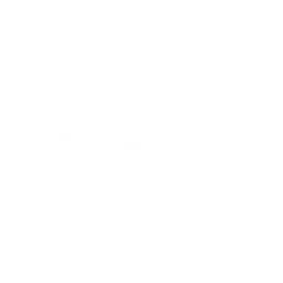 MasterWriter logo