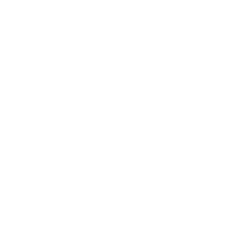 MIP Accounting logo