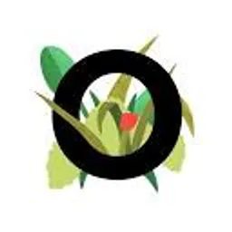 Outerbounds logo