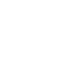 Paige logo