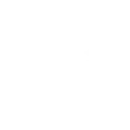 Remini logo