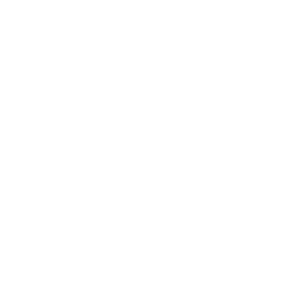 Scalenut logo