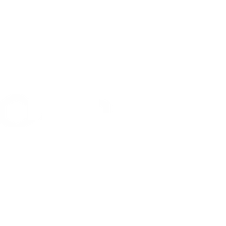 Sonatype Nexus One Platform logo