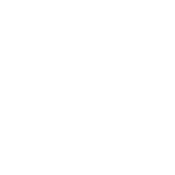 Styldod AI Media Module logo