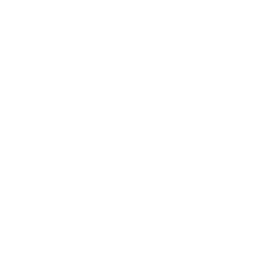 Temporal logo