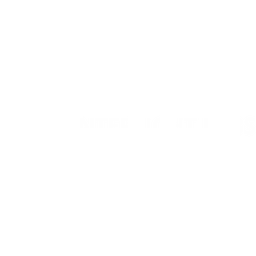 Winterlight Labs logo