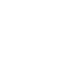 XM Cyber logo